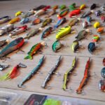 Best Baits for Bream and Sunfish