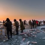 Best Ice Fishing Fish Finder