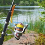 How to Choose a Fishing Line for Your Spinning Reel