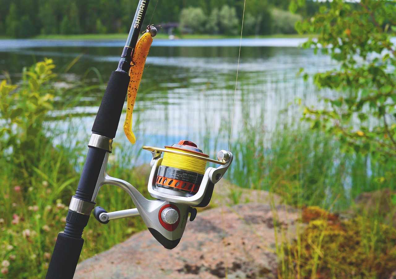 How to Choose a Fishing Line for Your Spinning Reel