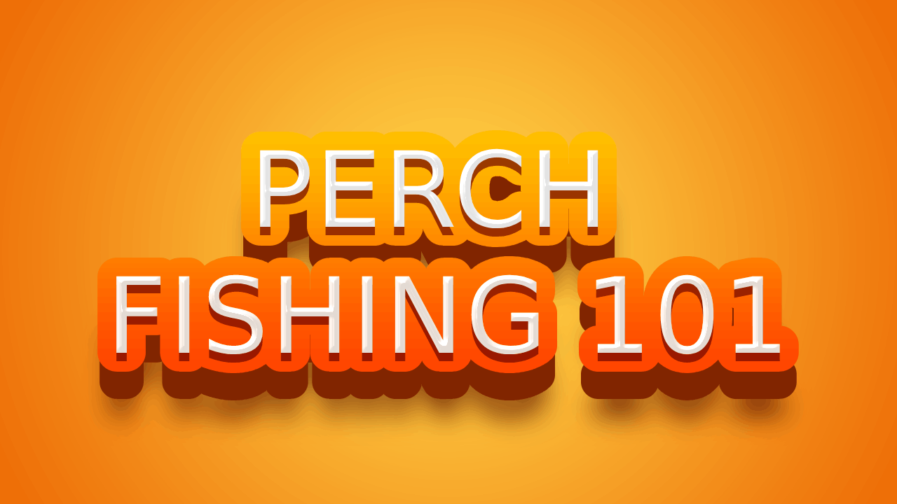Perch Fishing 101