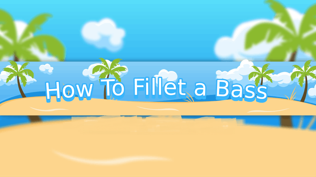 How To Fillet a Bass