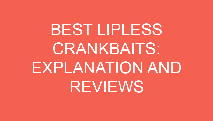 Best Lipless Crankbaits: Explanation and Reviews of Our Favorites