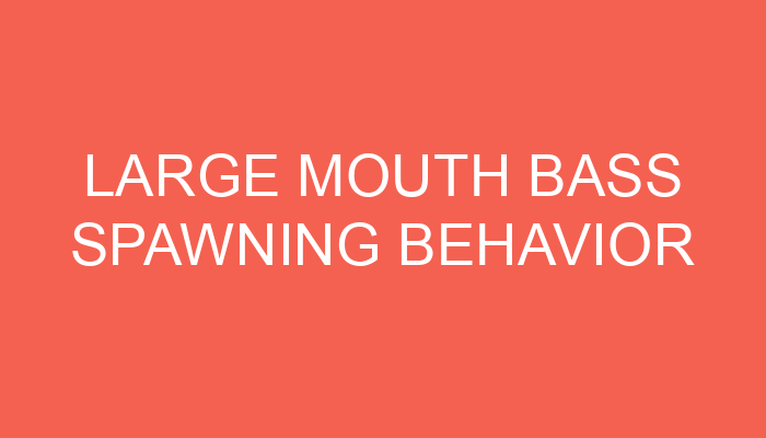 Large Mouth Bass Spawning Behavior